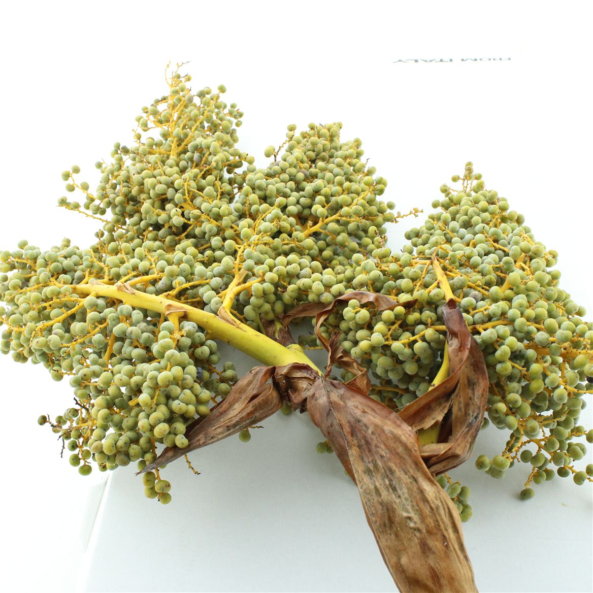 Dates Per Kilo 50cm