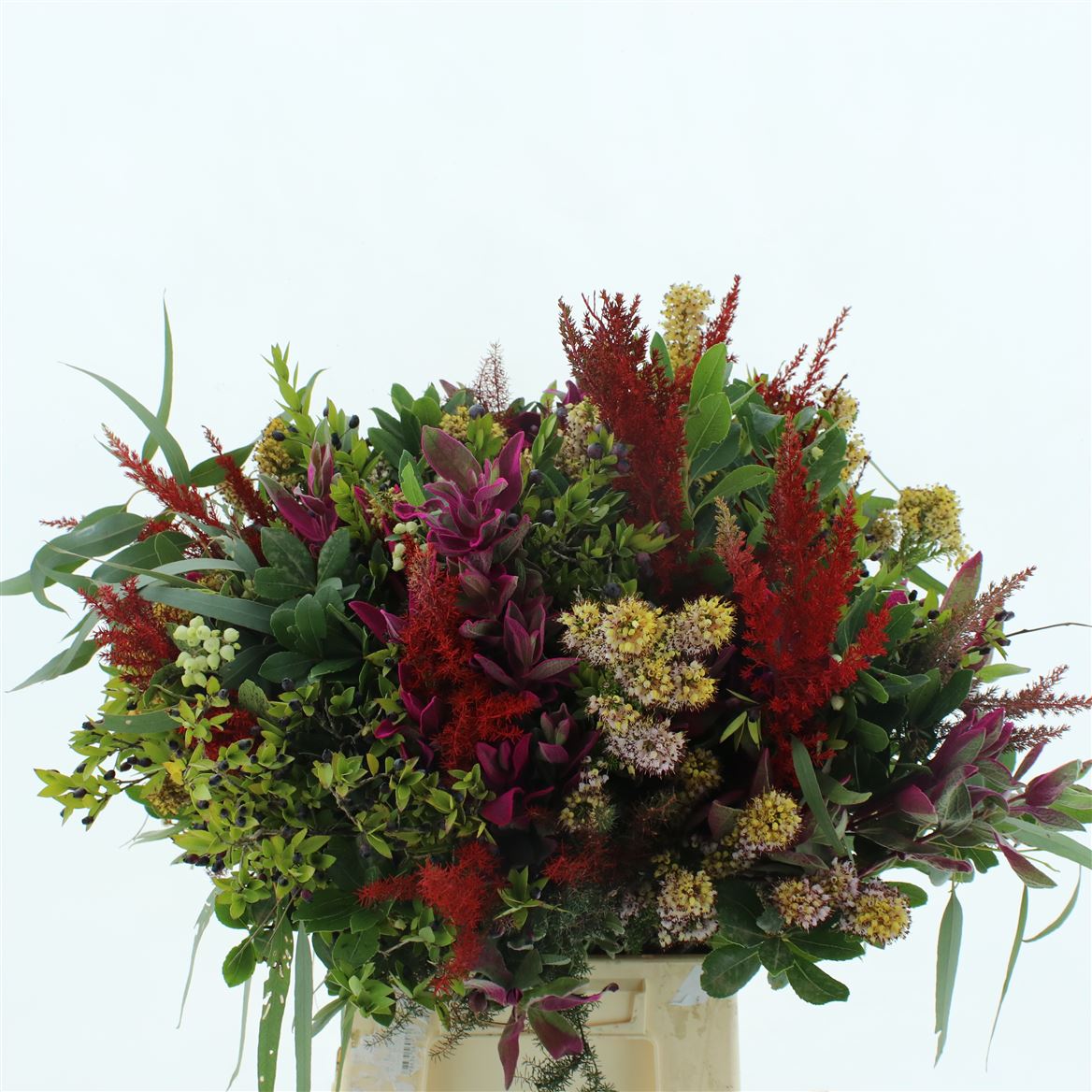 Antirrhinum Eucalypthus Bouquet 50cm