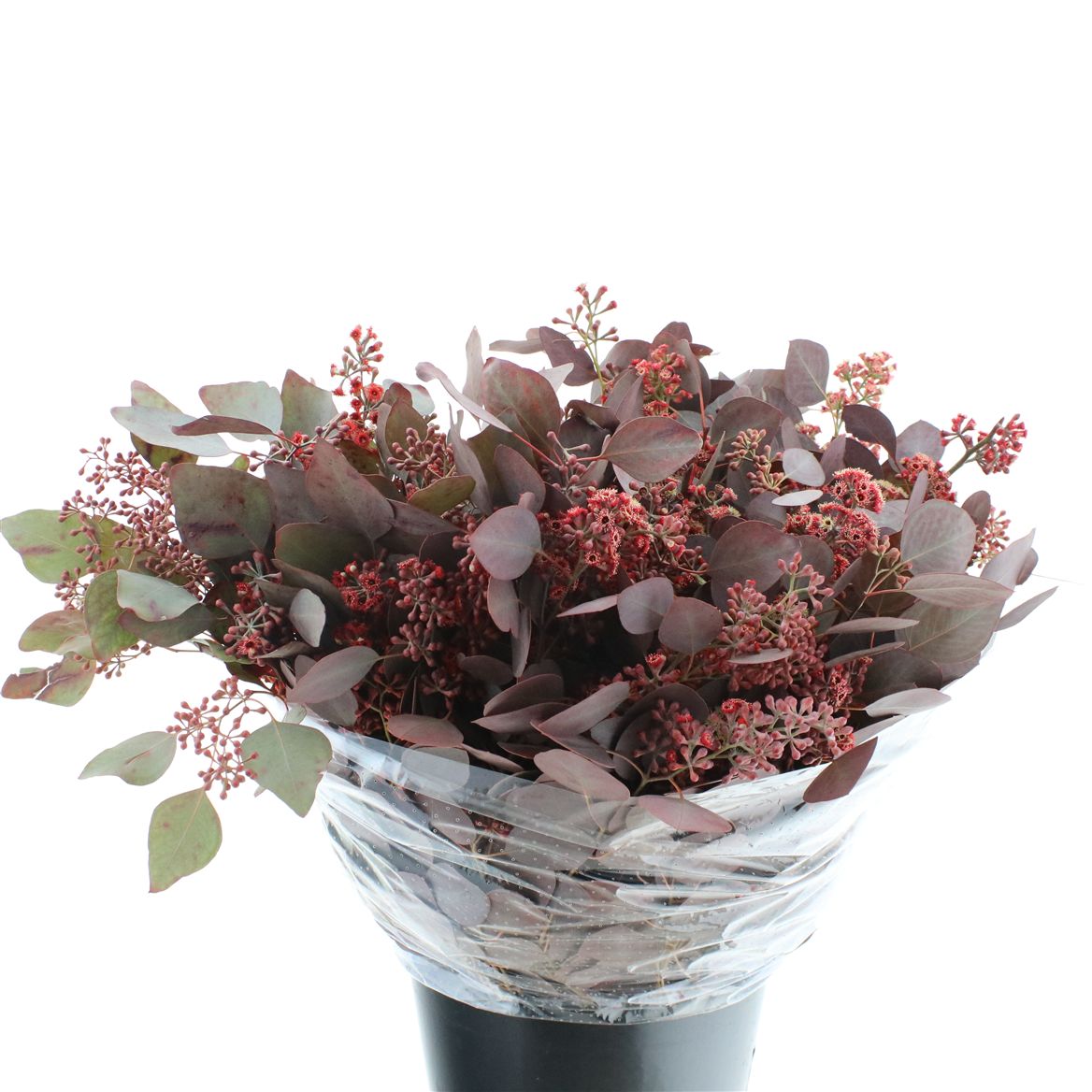 Eucalyptus Populus Painted Red Berry Per Bunch 70cm 300gr.