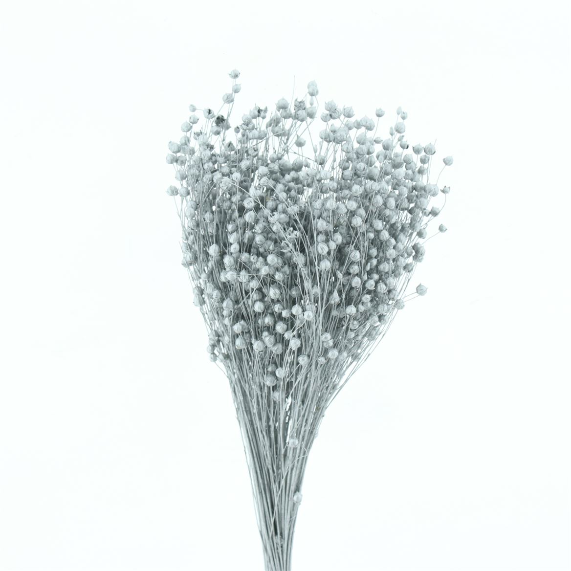 Lino Flax Bleached Silver Per Bunch 50cm