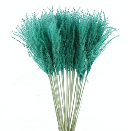 Dried Stipa Feather Turqouise