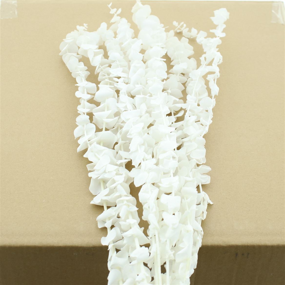 Eucalyptus Baby Blue Bleached Per Bunch 50cm
