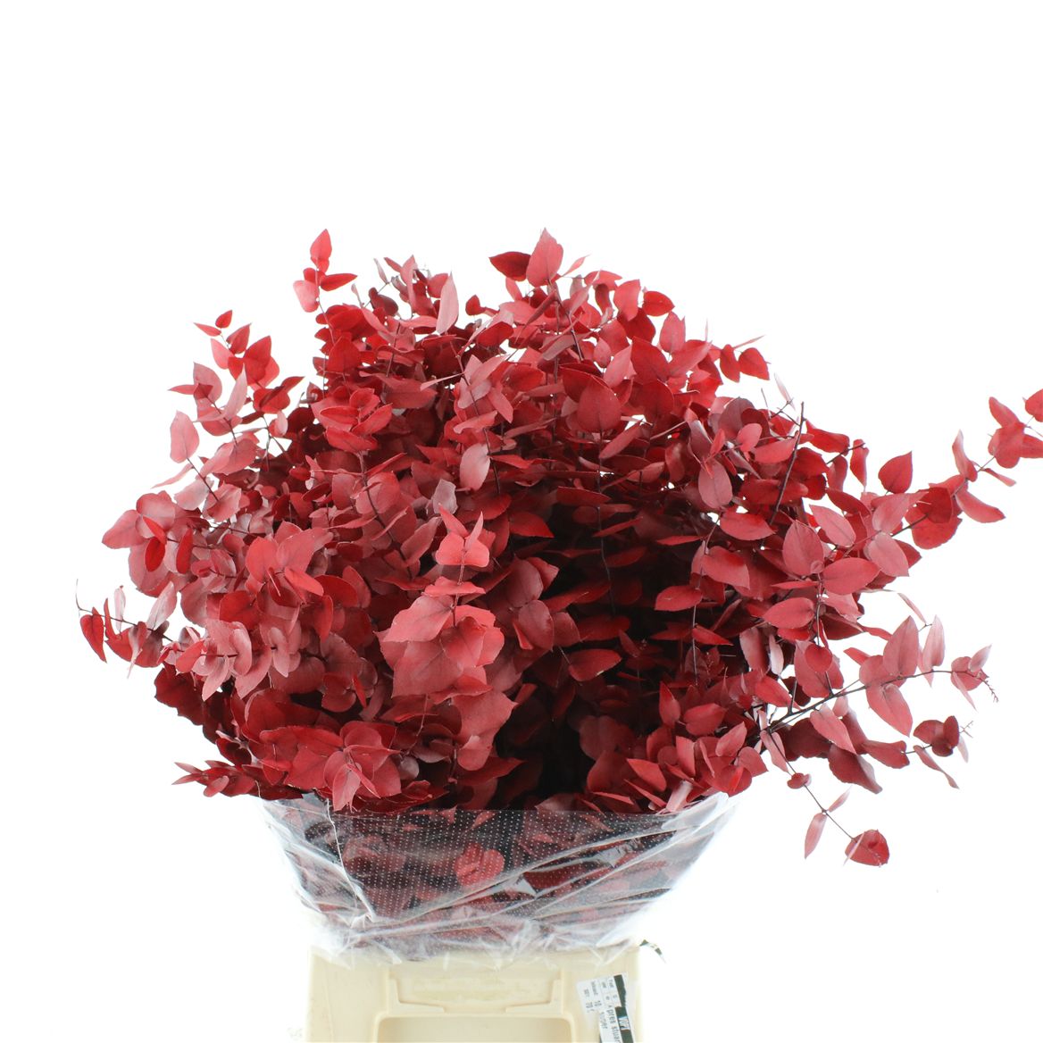 Eucalyptus Stuartiana Autumn Red Per Bunch 70cm 150gr.