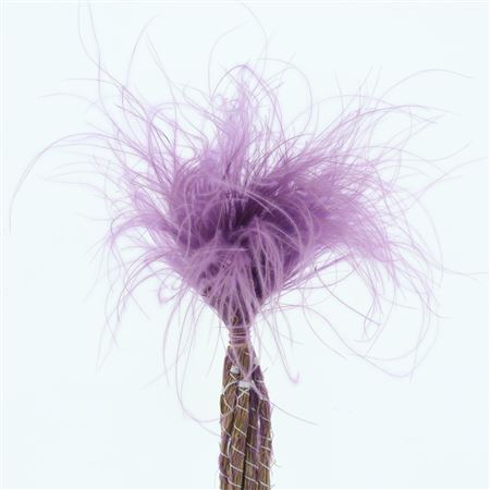 Dried Stypa Penata Milka Fluffy P Bs
