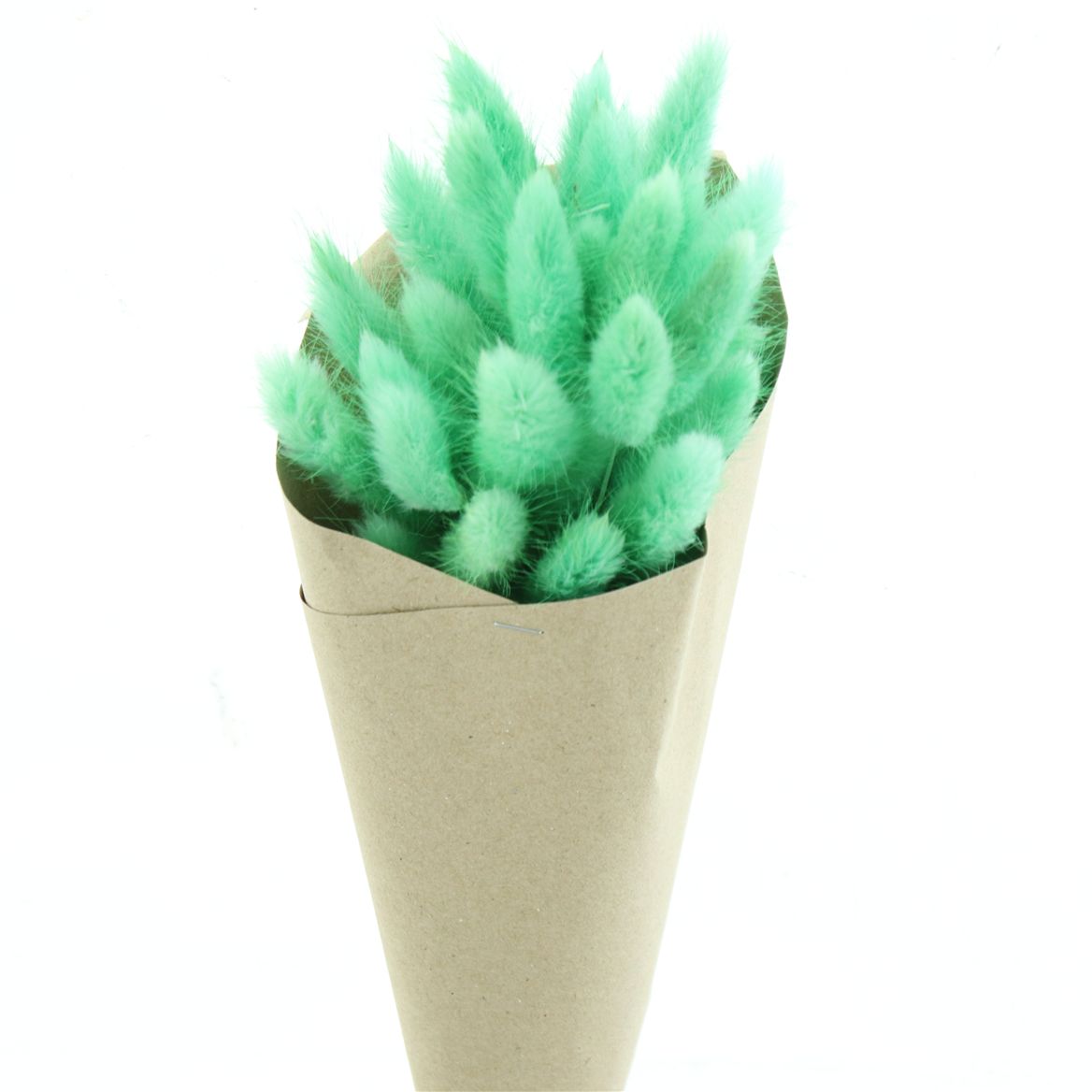 Lagurus Light Green Per Bunch 35cm