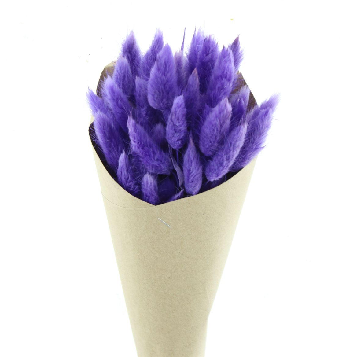 Lagurus Light Lavender Per Bunch 35cm