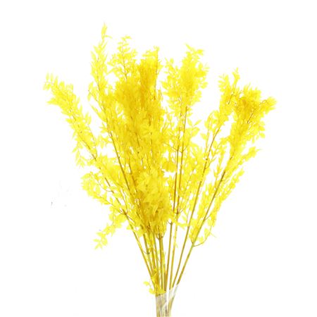 Pres Ruscus Soft Bleached Yellow Per Stem