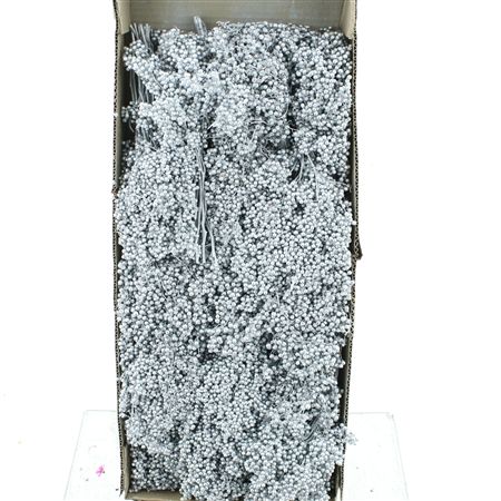 Dried Pepper Berries Silver