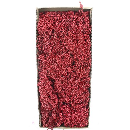 Dried Pepper Berries Rood