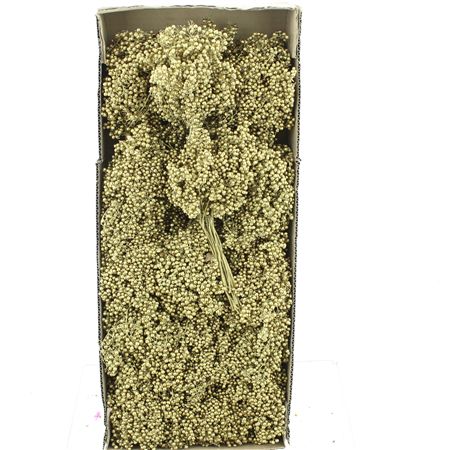 Dried Pepper Berries Gold