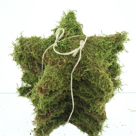 Pres Moss Star Green Small