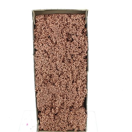 Dried Pepper Berries Copper