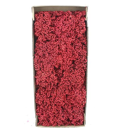 Dried Pepper Berries Cerise