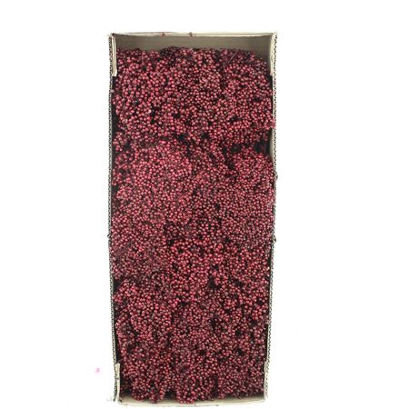 Dried Pepper Berries Bordeaux