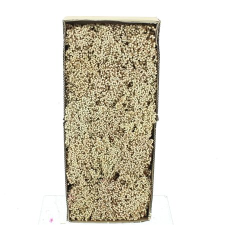 Dried Pepper Berries Bleached White