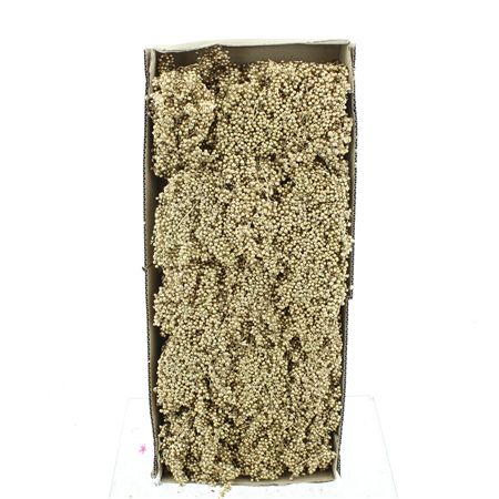 Dried Pepper Berries Antique Gold