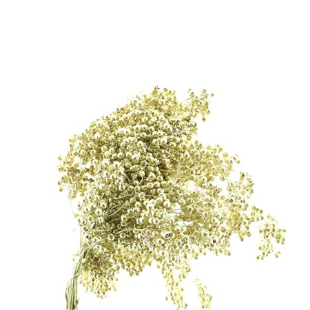 Dried Pepper Berries Gold Extra