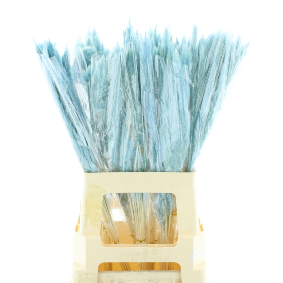 Fluffy Pampas Baby Blue 65cm