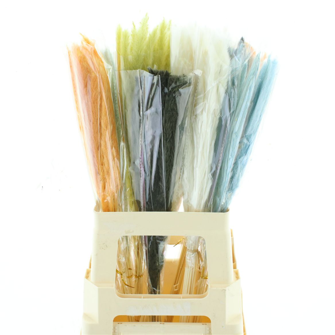 Fluffy Pampas Mix 70cm