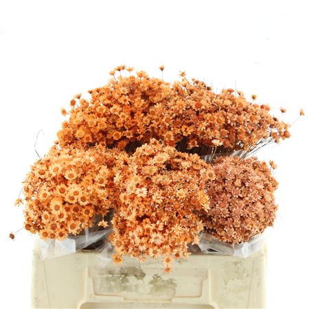 Dried Glixia Peach